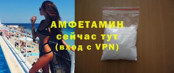 прущие грибы Гусиноозёрск