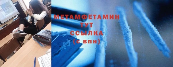 прущие грибы Гусиноозёрск