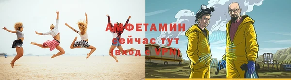 прущие грибы Гусиноозёрск