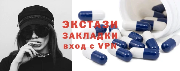 прущие грибы Гусиноозёрск