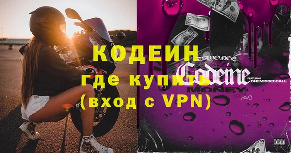 прущие грибы Гусиноозёрск