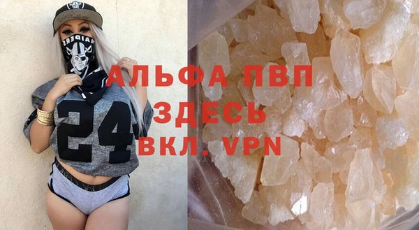шишки Гусь-Хрустальный