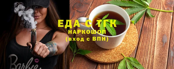 прущие грибы Гусиноозёрск