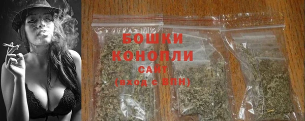 шишки Гусь-Хрустальный