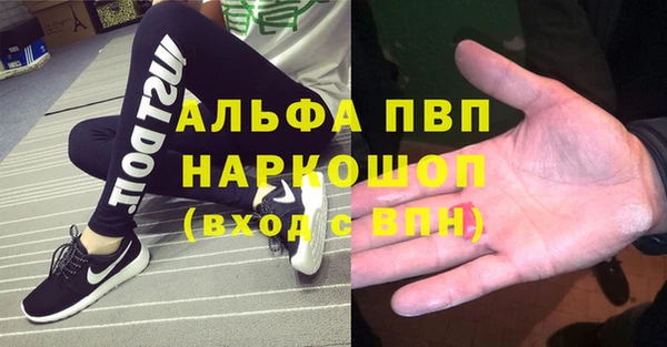 прущие грибы Гусиноозёрск