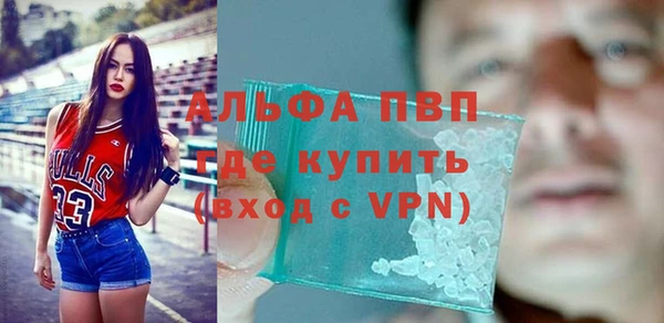 шишки Гусь-Хрустальный