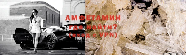 прущие грибы Гусиноозёрск